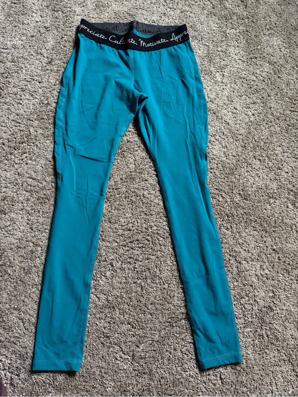 Buffbunny Collection buttery soft aqua leggings
